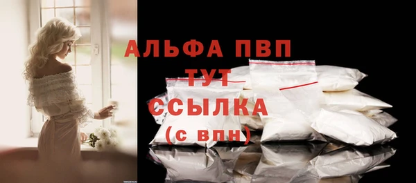 спиды Карталы