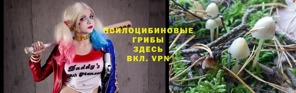 спиды Карталы