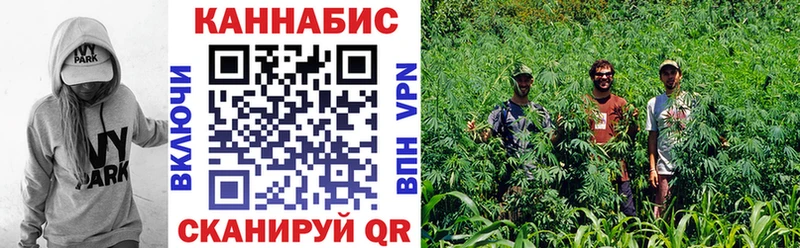 Купить  Каменка  Бошки марихуана THC 21% 